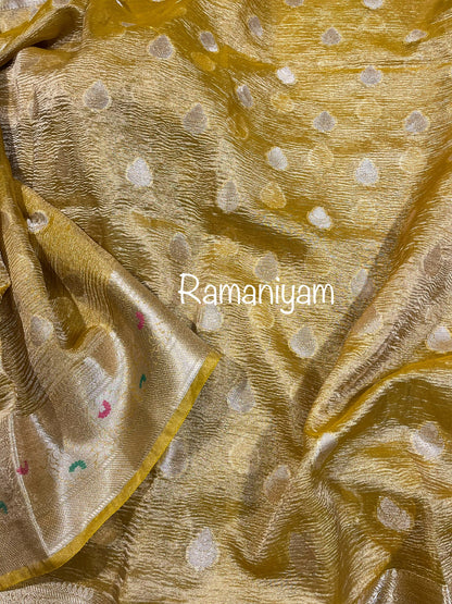 Gold Crushed banarasi tissue saree